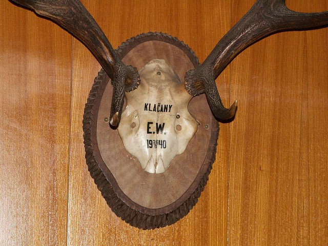 img00001.jpg